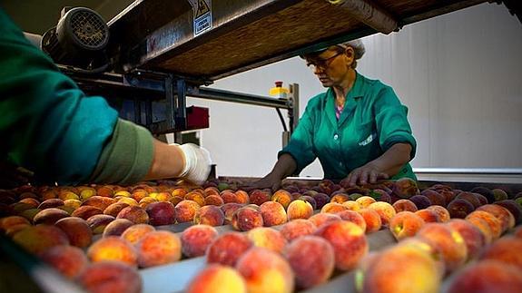 proceso de cremogenado en Ecosanasalud